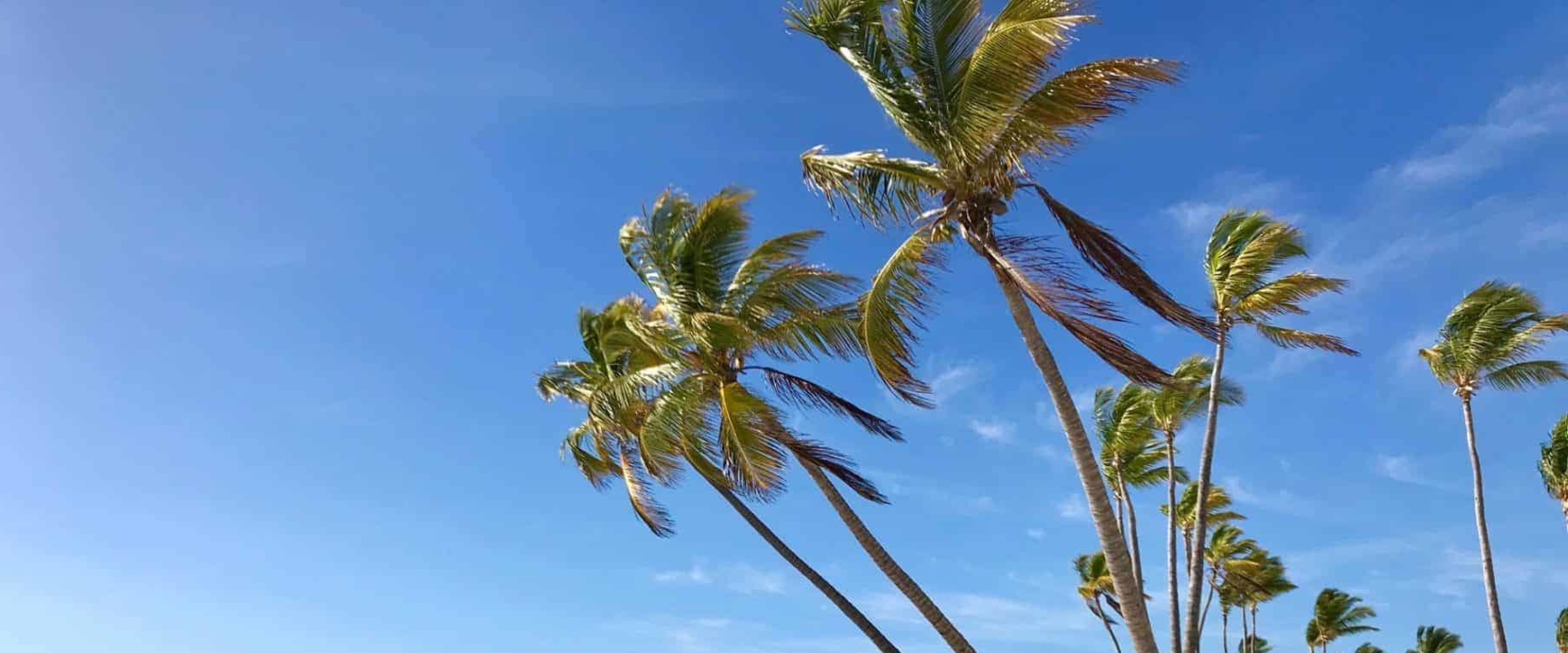 Can You Swim in the Ocean in Punta Cana?