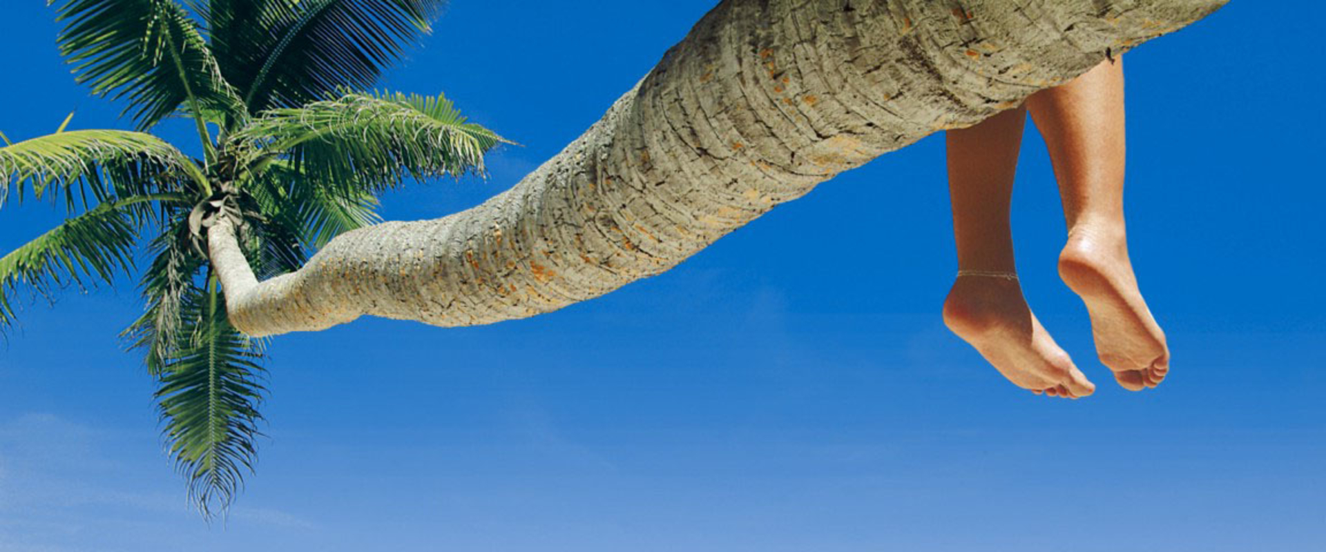 When is the Best Time to Visit Punta Cana?