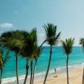 What is the driest month in punta cana?