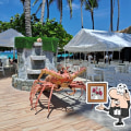 Restaurante capitán Cook in Punta Cana 23000: Local Business Reference